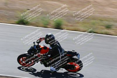 media/May-09-2022-Moto Forza (Mon) [[0226cf3505]]/Group B/B 920am/